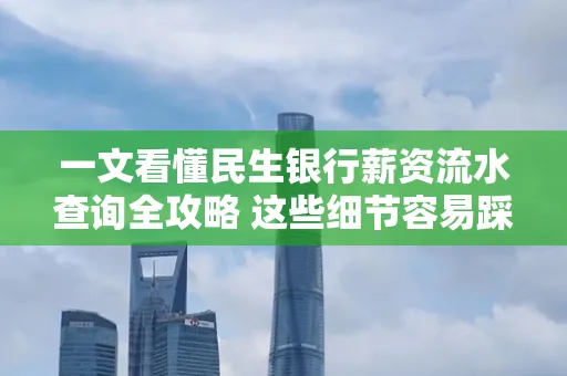 一文看懂民生银行薪资流水查询全攻略 这些细节容易踩雷