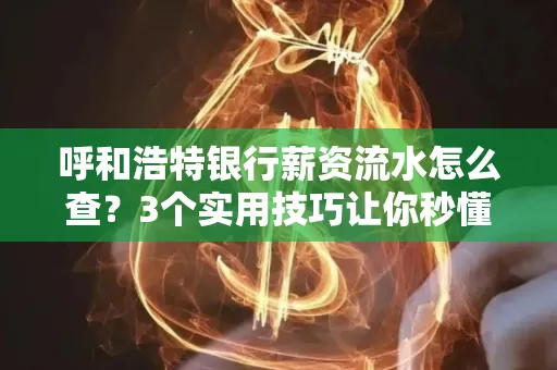 呼和浩特银行薪资流水怎么查?3个实用技巧让你秒懂